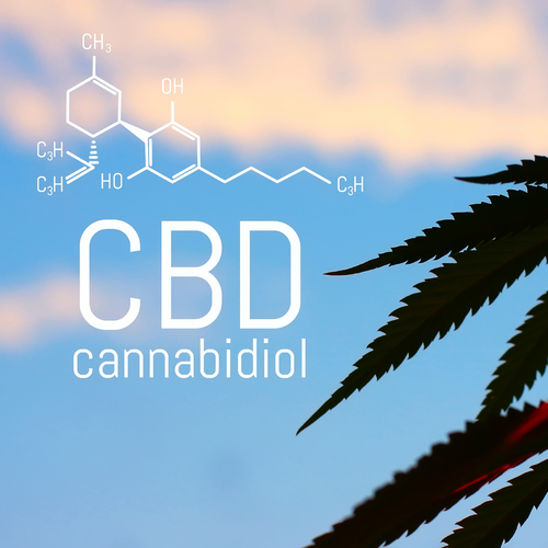 What Is the Endocannabinoid System?