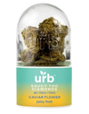 URB Saucy THC Diamonds Caviar Flower